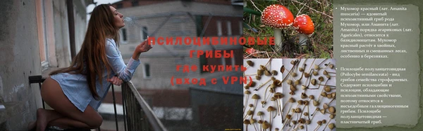 молекула духа Алексин