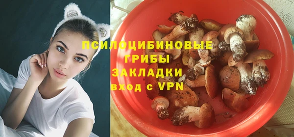 прущая мука Абаза